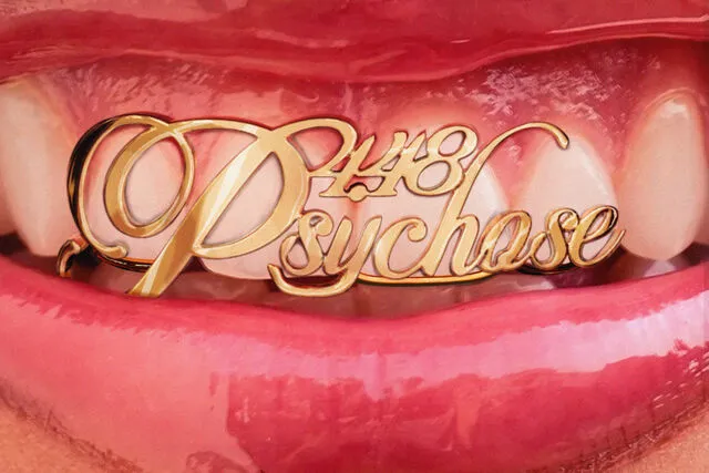 4.48 Psychose