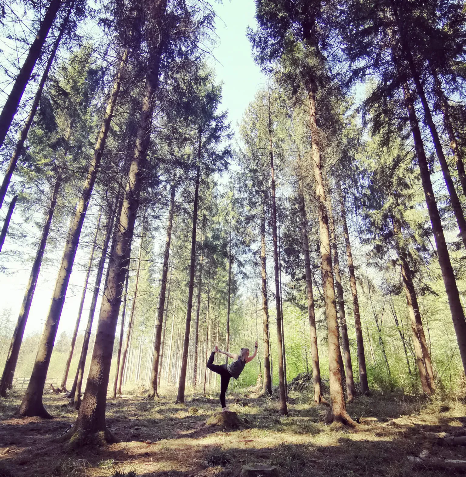 Hatha Yoga, GZ Höngg