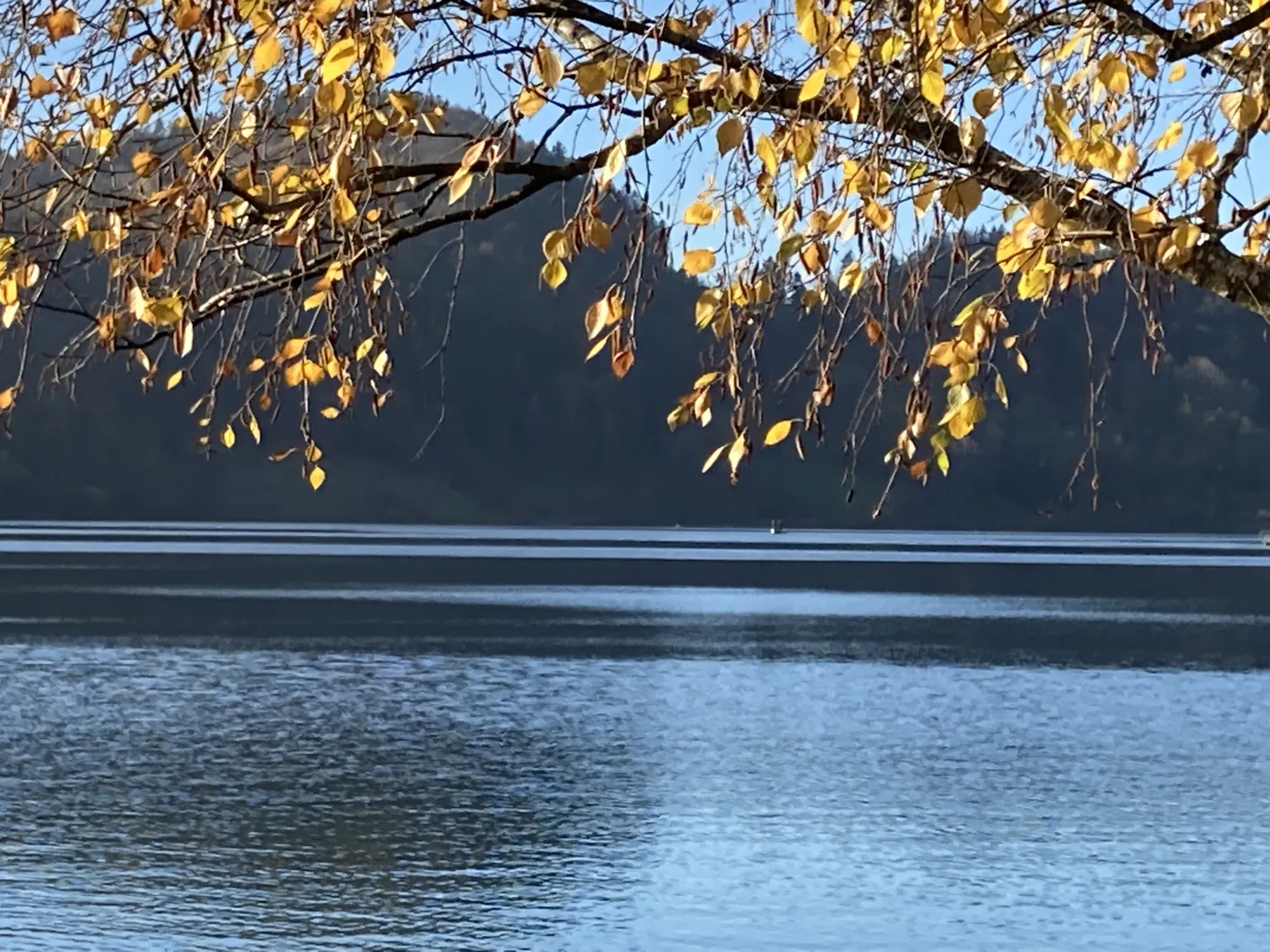 Herbstsingen