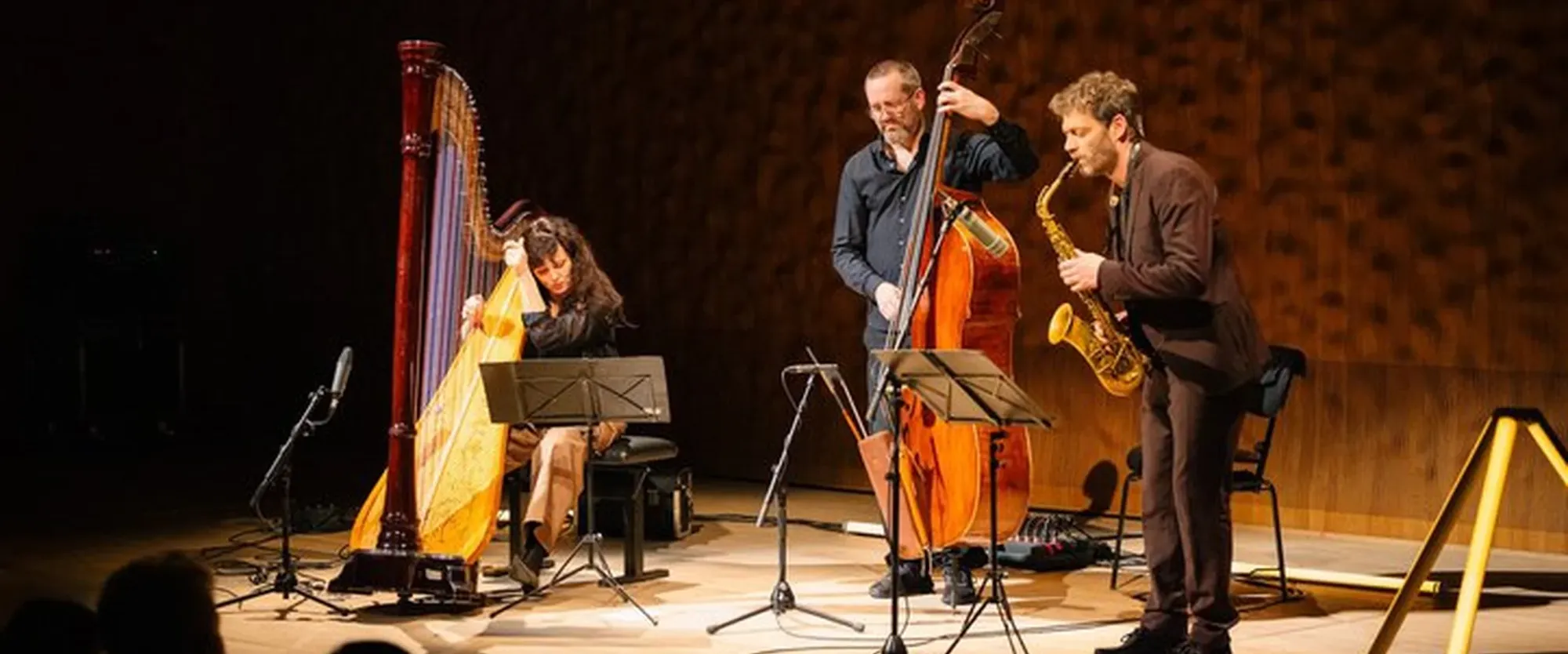 Kathrin Pechlof Trio – Hyperobjekt