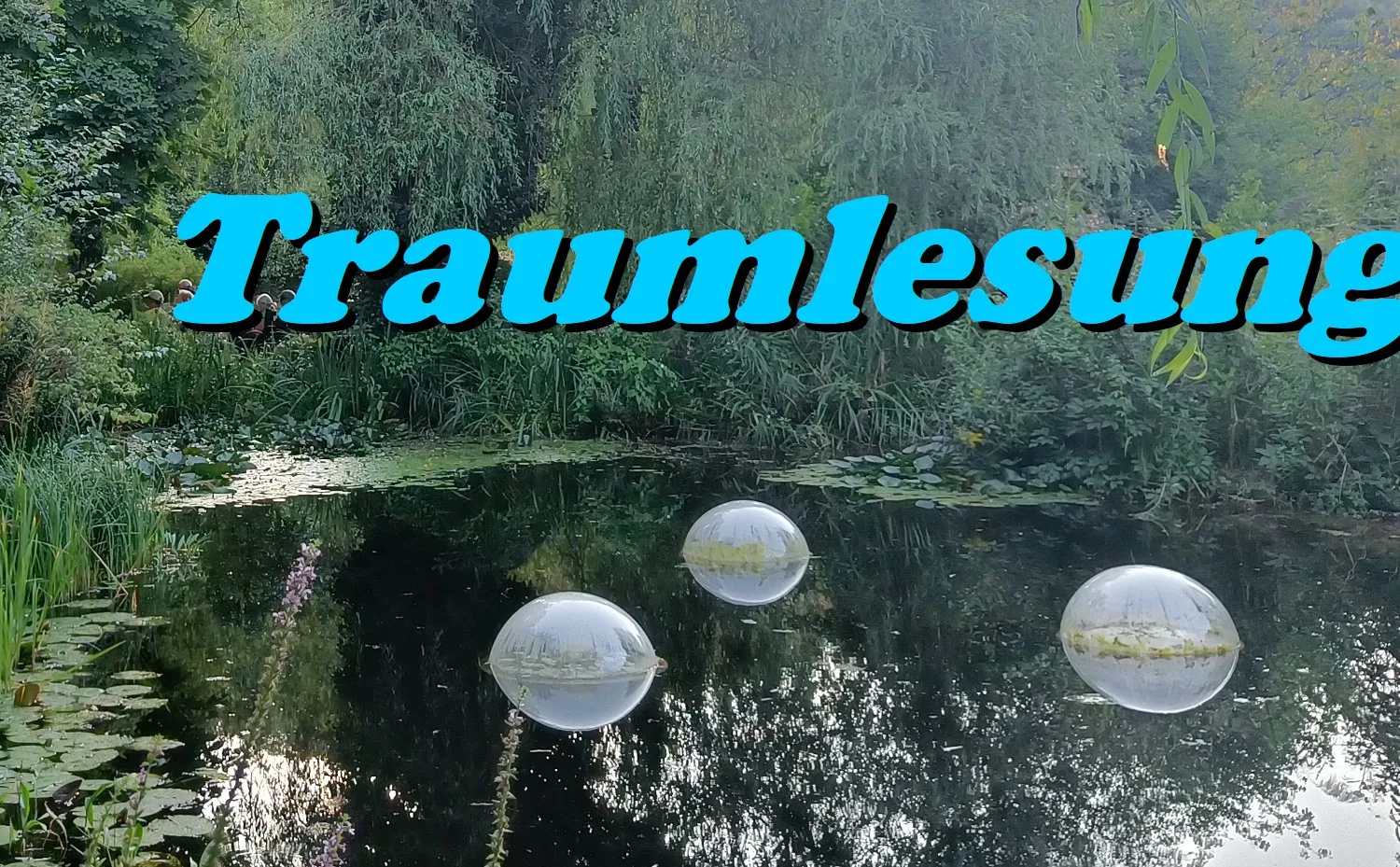 Traumlesung
