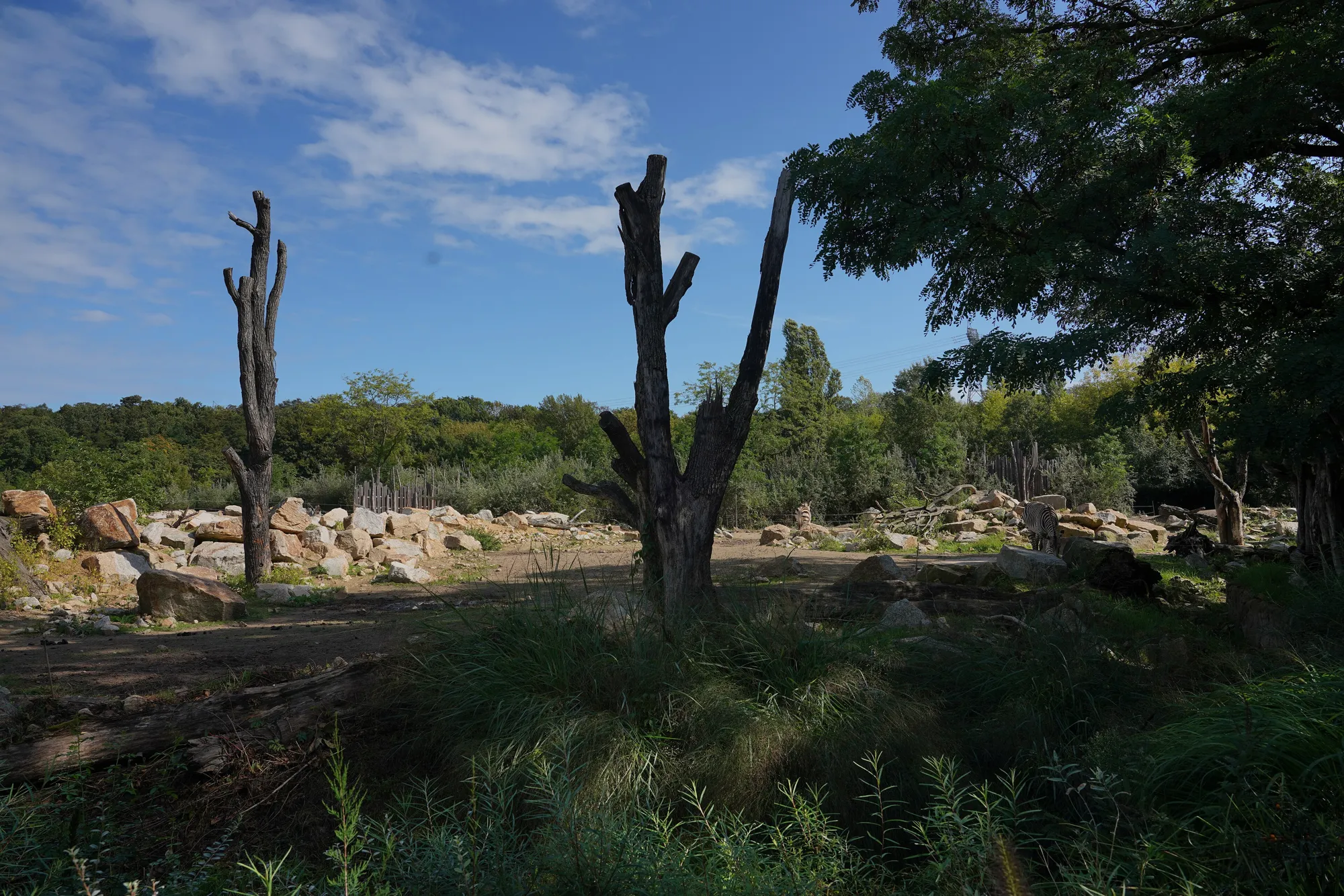 Tierpark Berlin