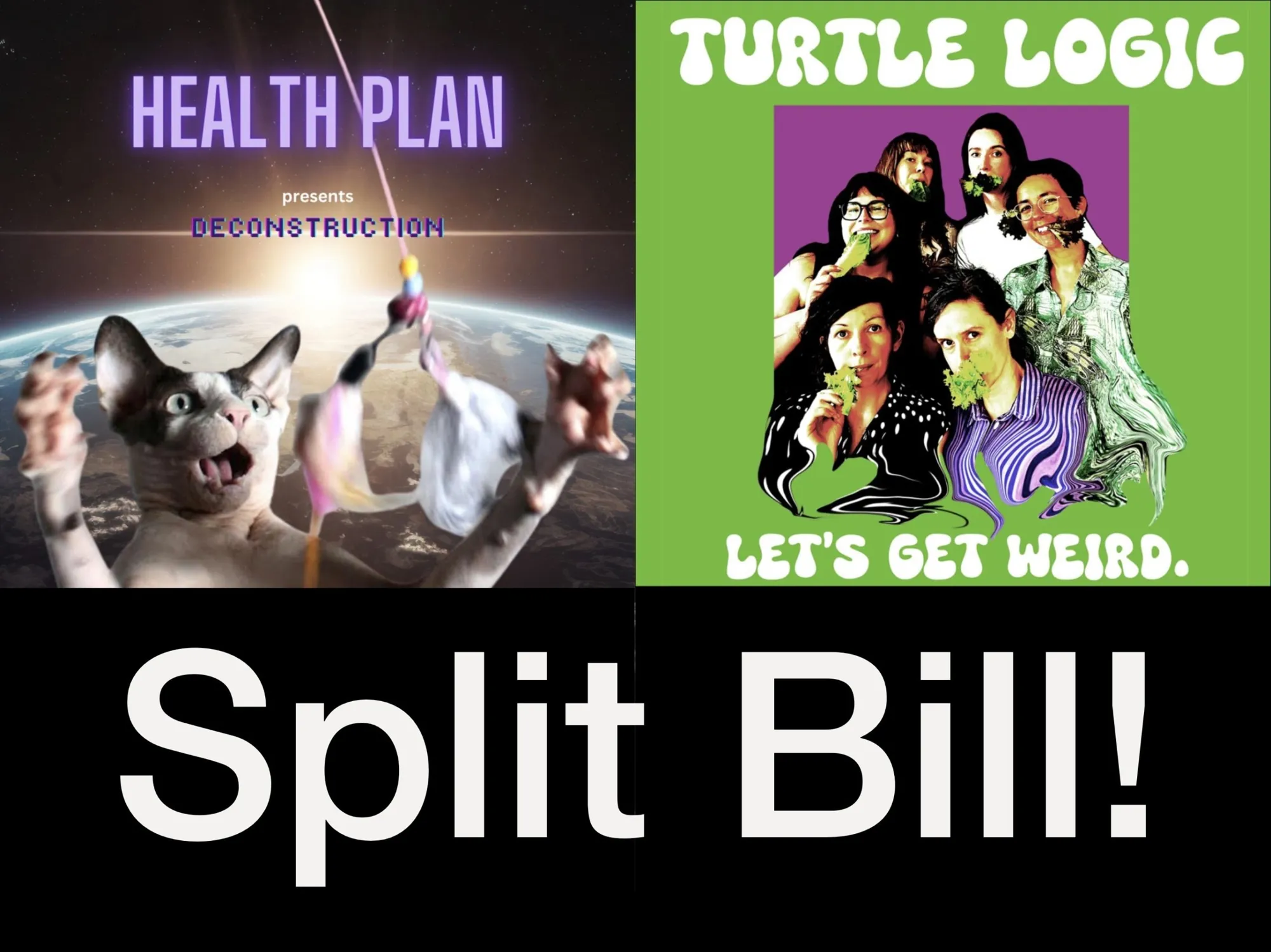 Turtle Logic & Health Plan Split the Bill