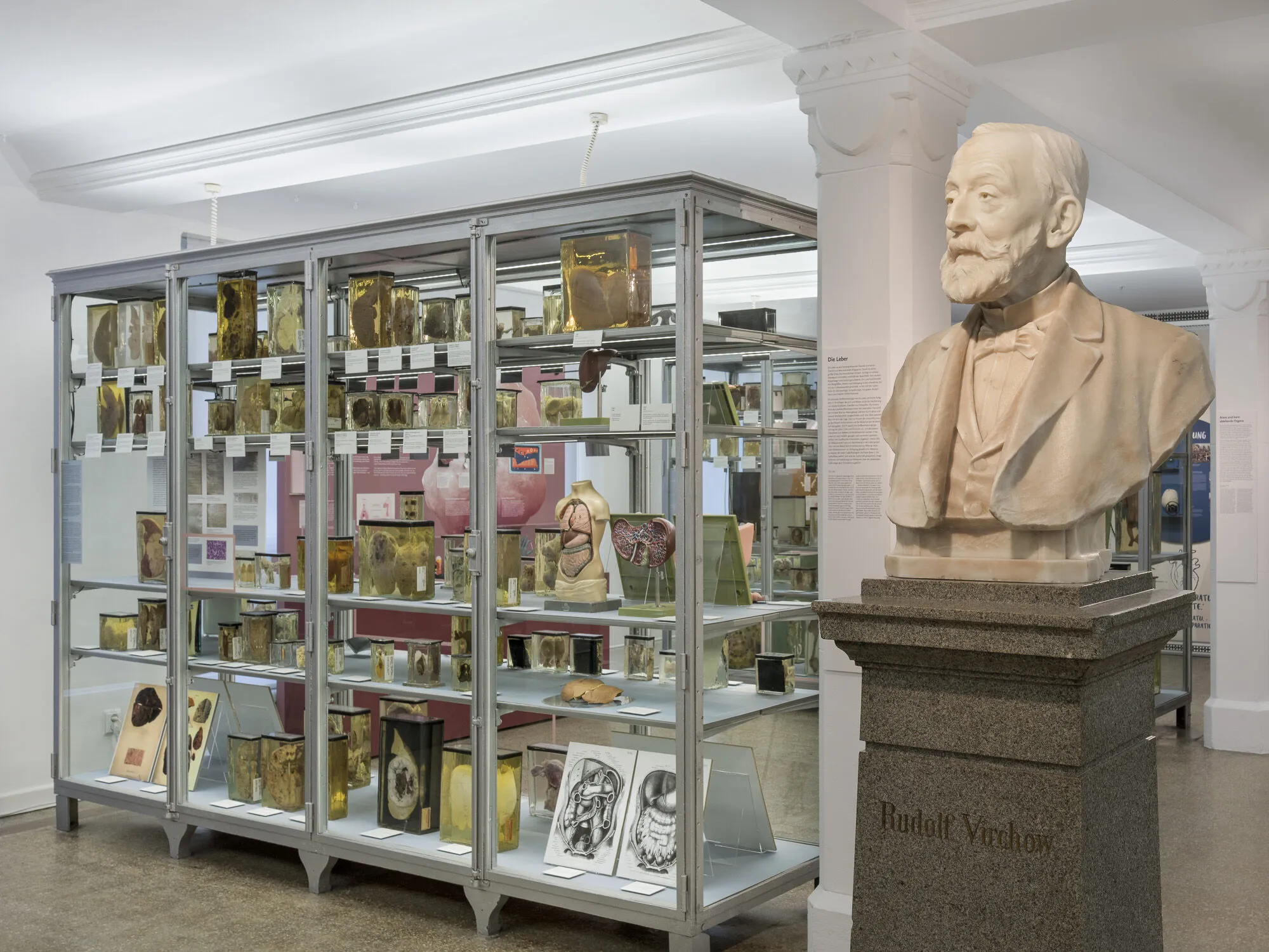 300 Jahre Medizingeschichte