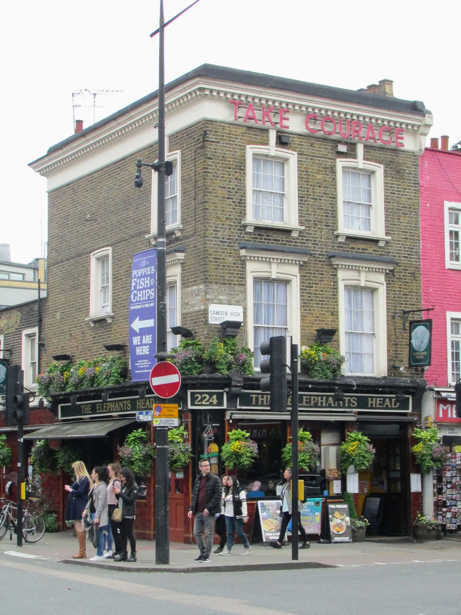 The Elephant's Head