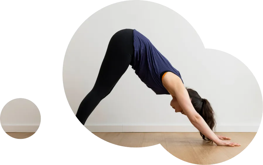 Yoga Basiskurs