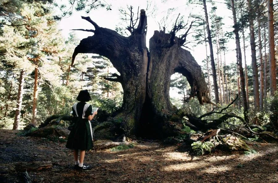 Pans Labyrinth