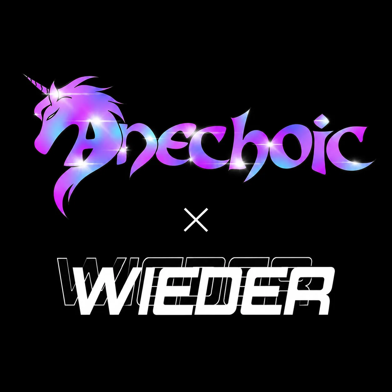 ANECHOIC: Winter Date — WIEDER Invited