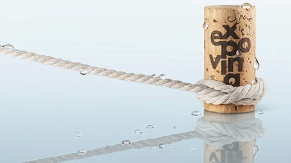 Expovina Weinschiffe