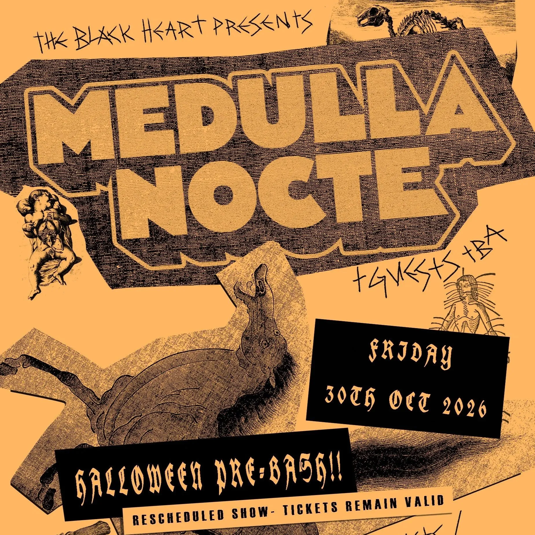 MEDULLA NOCTE