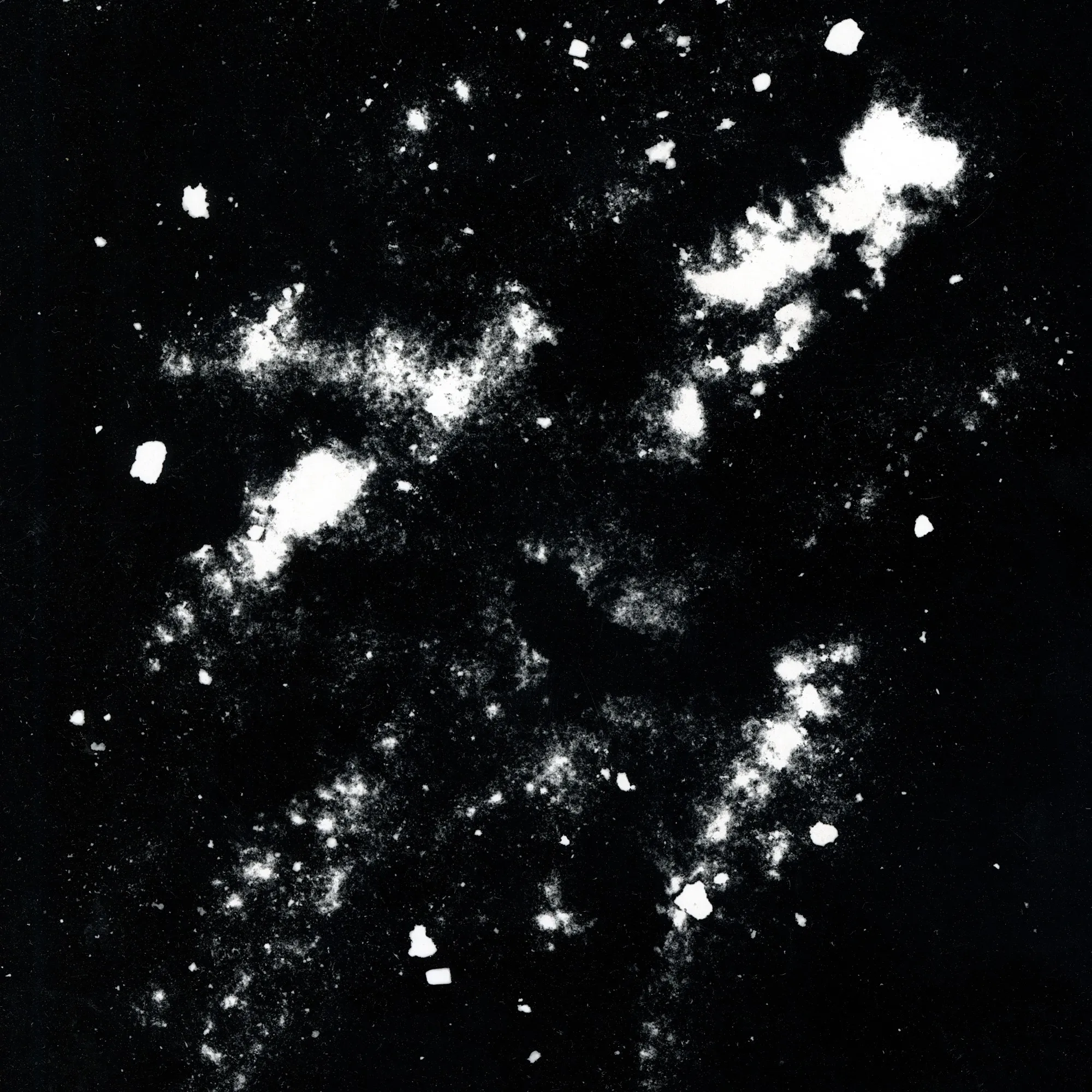 Archiving the Universe